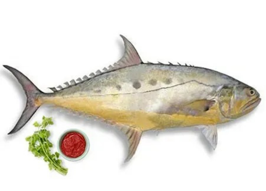 طرز تهیه ماهی سارم به روش‌های آسان و خوشمزه